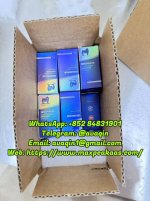 IMG_1308.jpeg