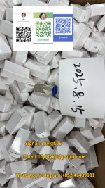 6 号油test e 250.jpg