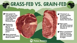 grassfed+vs+grainfed,c2Ru7D9oEno=-4201602800.jpeg
