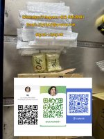 11.27注射笔 照片.jpg