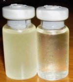 1764529814786.jpeg 1764529814786.jpeg