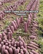 IMG_0801.jpeg