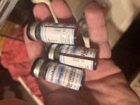 IMG_1287.jpeg