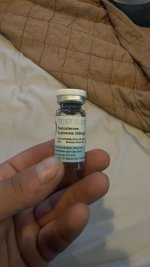 IMG_7553.jpeg