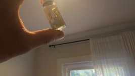 IMG_7554.jpeg