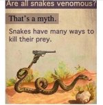 IMG_6844.jpeg