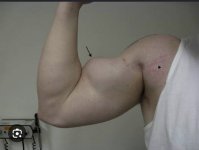 IMG_1433.jpeg