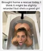 IMG_1655.jpeg