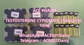 c25-1_副本.jpg c25-1_副本.jpg