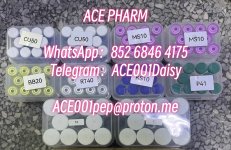eb9ea479-c52d-4a50-843d-b0223338b42c (1).jpg