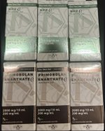 IMG_1936.jpeg