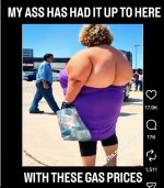 IMG_2282.jpeg