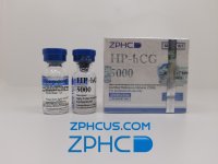 hCG5000 4.jpg