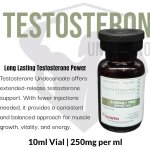 testu.jpg