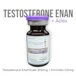 testearim.jpg